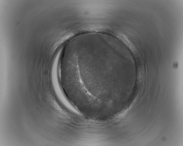 X0000090470585200707272300