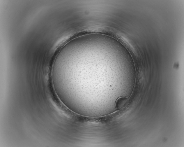 X0000090470586200707272300