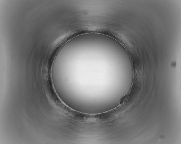 X0000090470587200707272300