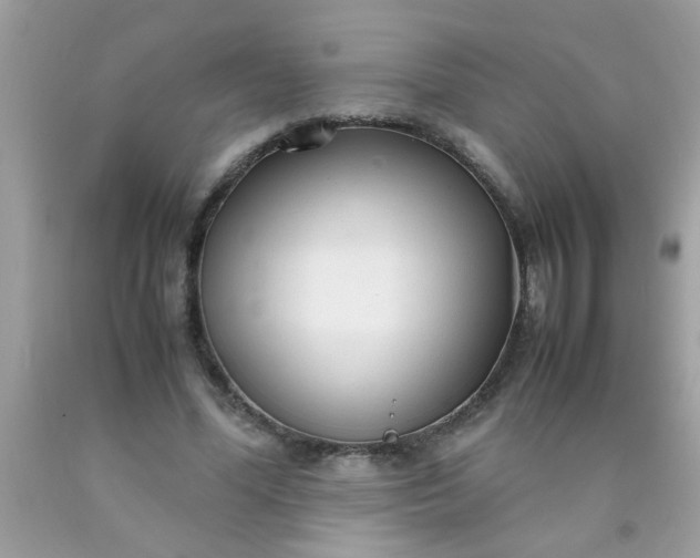 X0000090470588200707272300