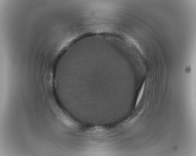 X0000090470589200707272300