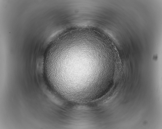 X0000090470590200707272300