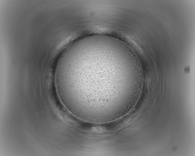 X0000090470591200707272300