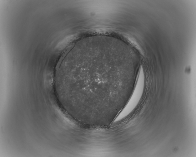 X0000090470593200707272300