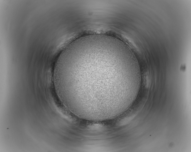 X0000090470594200707272300