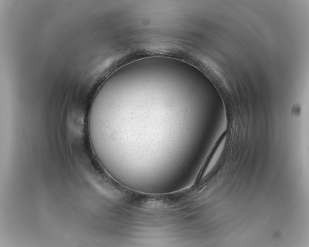 X0000090470596200707272300