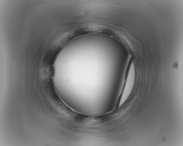 X0000090470597200707272300