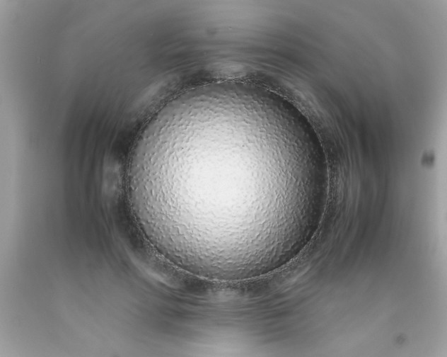 X0000090470598200707272300