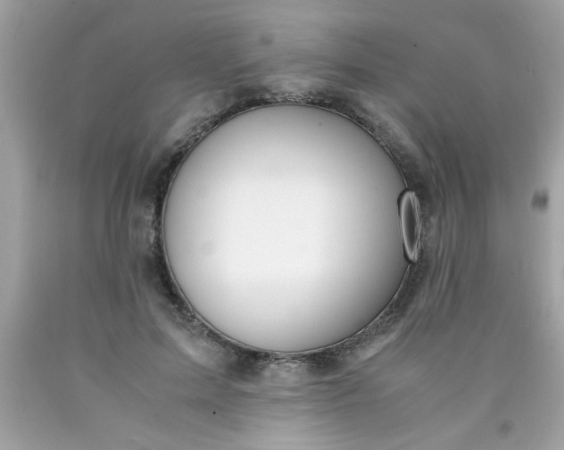 X0000090470599200707272300