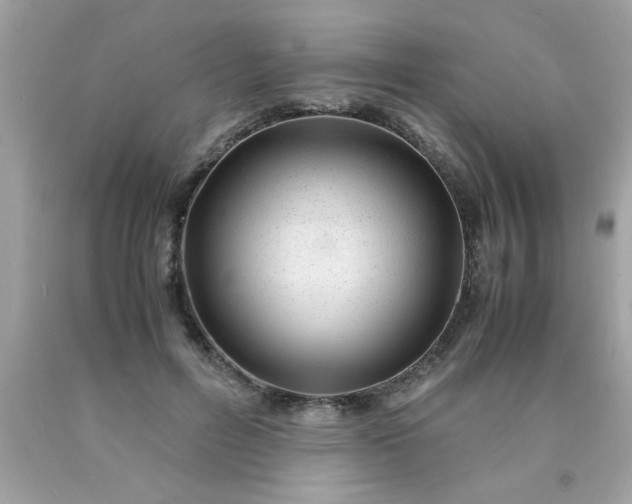 X0000090470600200707272300