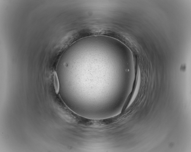 X0000090470601200707272300