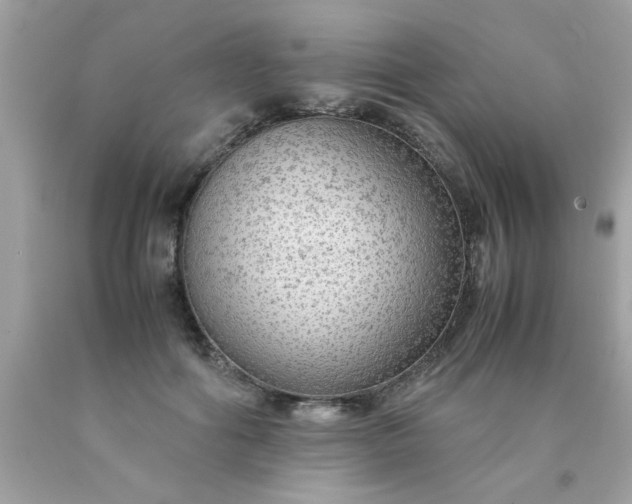 X0000090470602200707272300