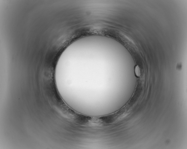 X0000090470603200707272300