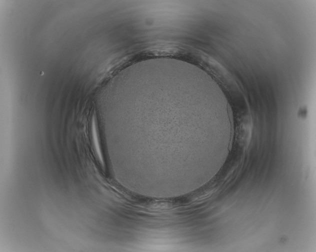 X0000090470604200707272300