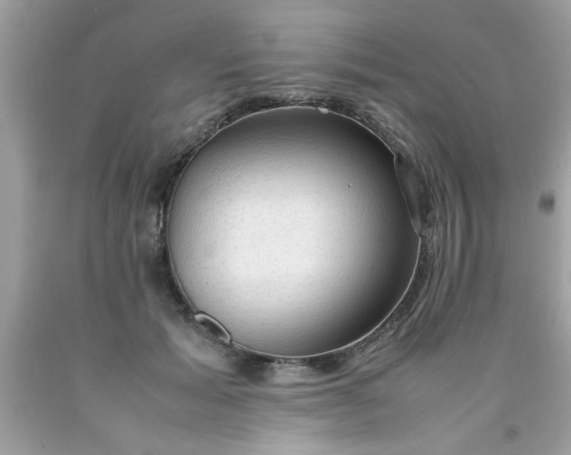 X0000090470605200707272300