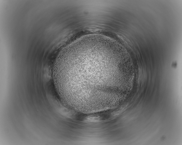 X0000090470606200707272300