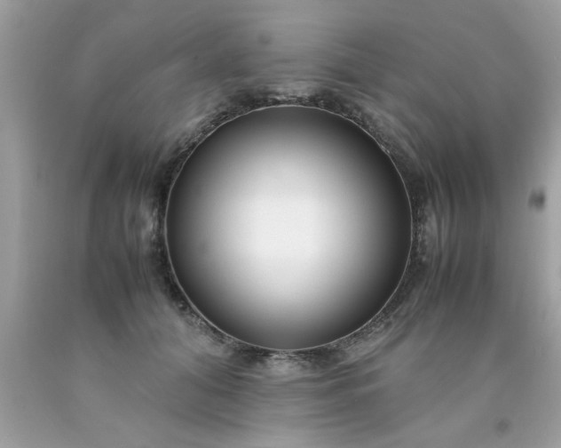 X0000090470608200707272300