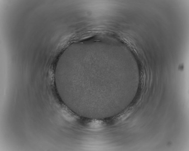 X0000090470609200707272300