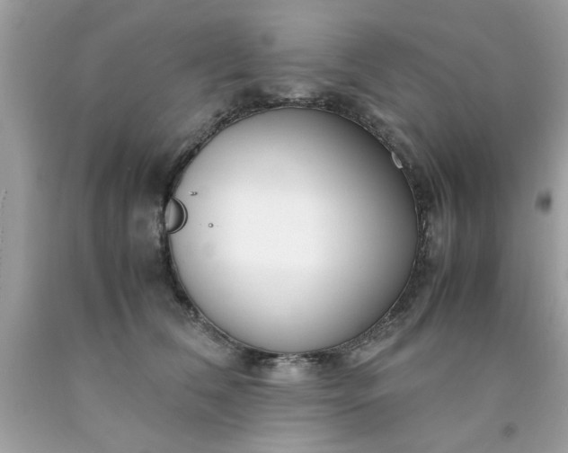 X0000090470612200707272300