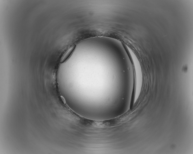 X0000090470613200707272300