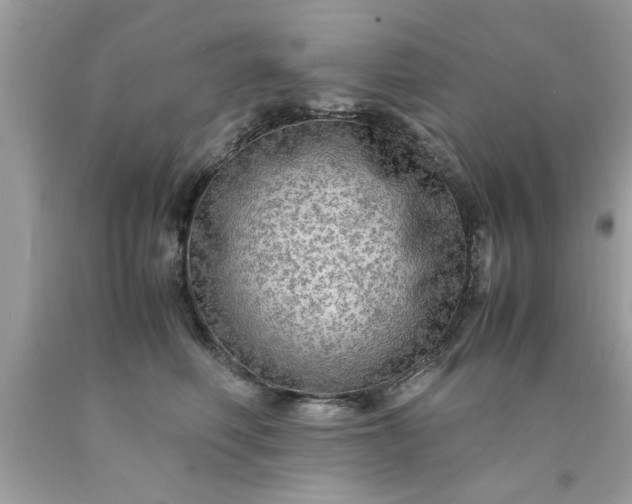 X0000090470614200707272300