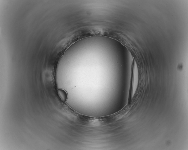 X0000090470616200707272300