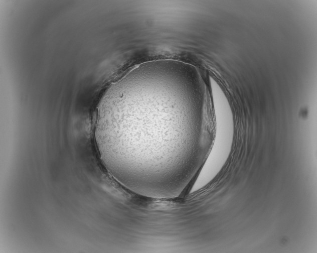 X0000090470617200707272300