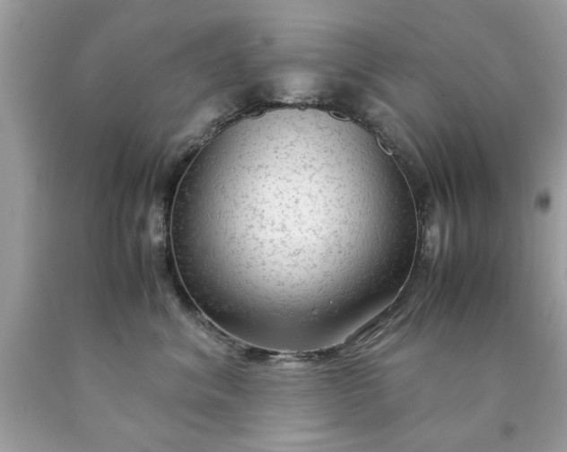 X0000090470620200707272259