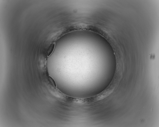 X0000090470624200707272259