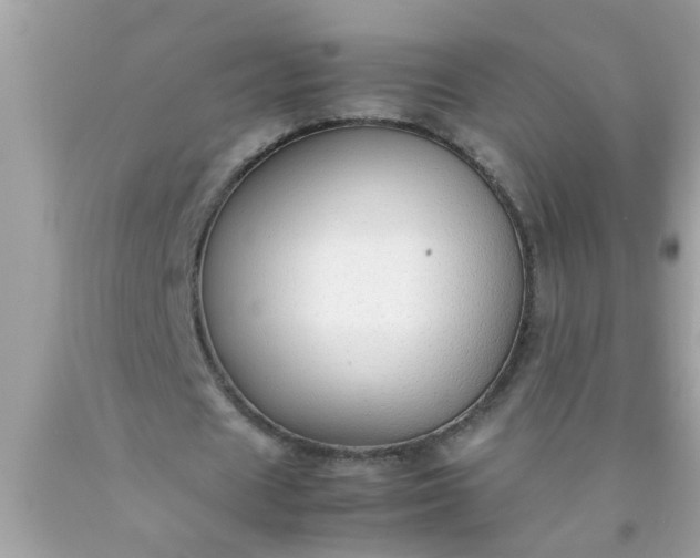 X0000090470625200707272259