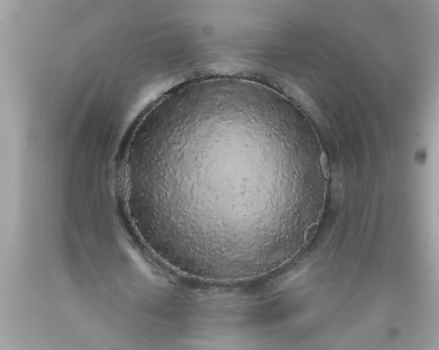 X0000090470626200707272259