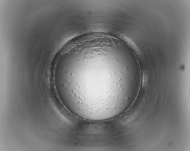 X0000090470627200707272259