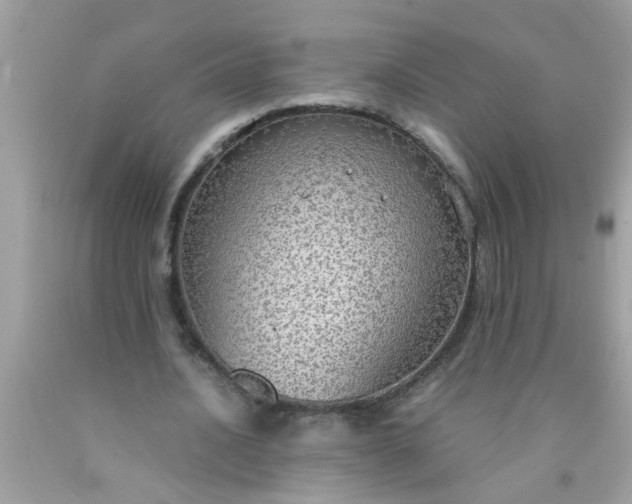 X0000090470628200707272259