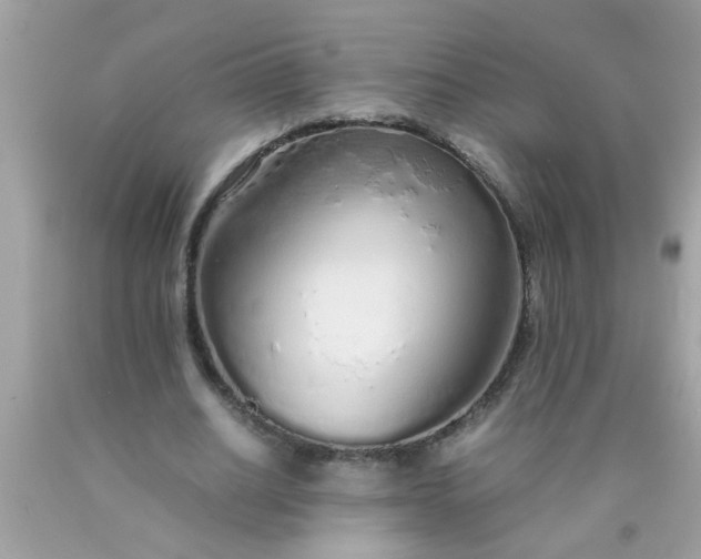 X0000090470630200707272259