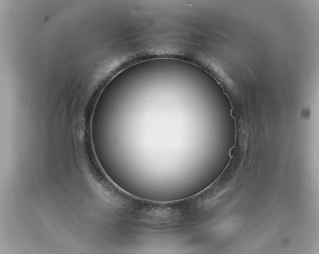 X0000090470631200707272259