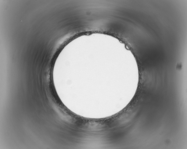 X0000090470632200707272259