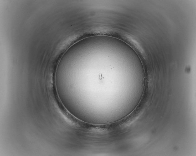 X0000090470633200707272259