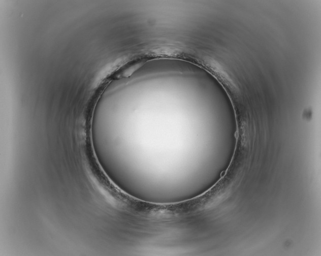 X0000090470634200707272259