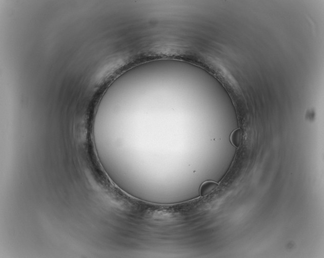 X0000090470635200707272259