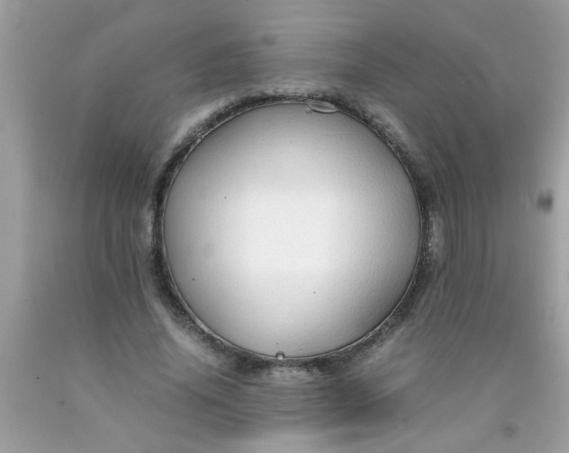 X0000090470636200707272259