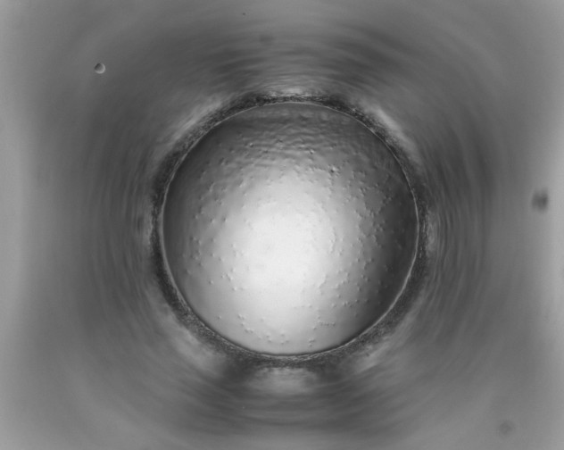 X0000090470637200707272259