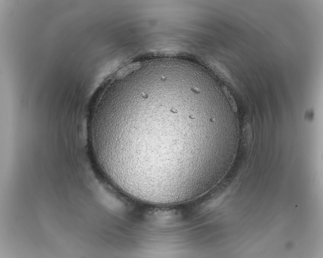 X0000090470638200707272259