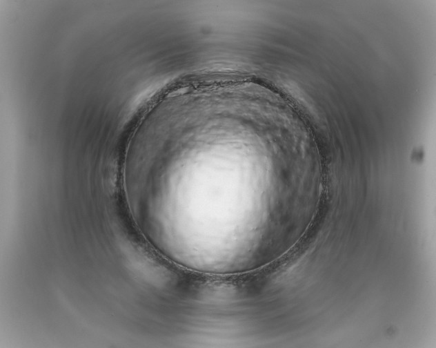 X0000090470640200707272259