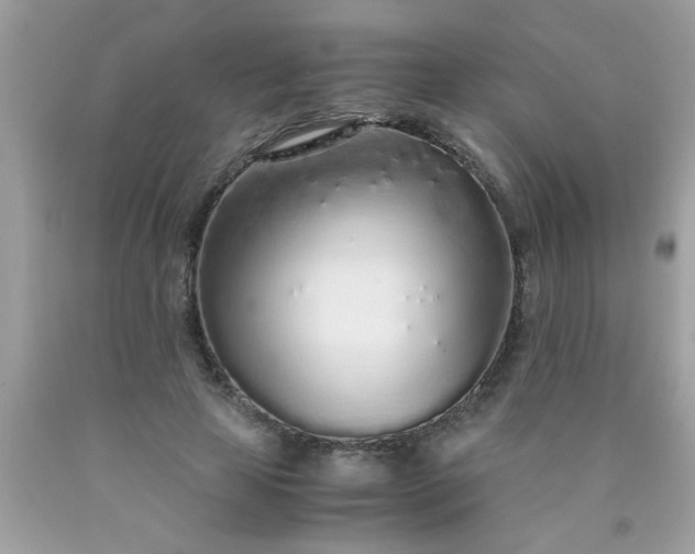 X0000090470641200707272259