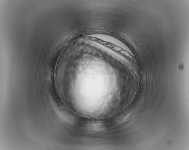 X0000090470643200707272259