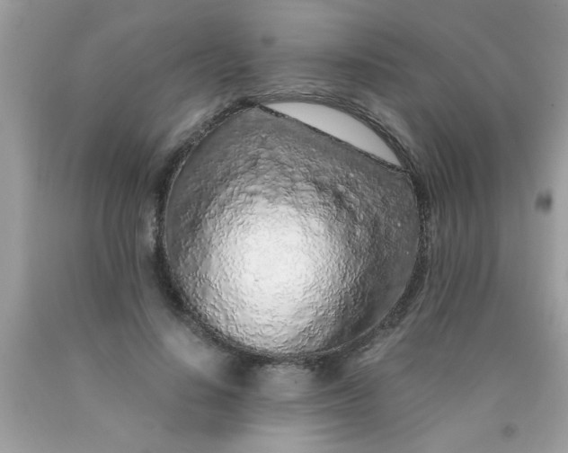 X0000090470644200707272259