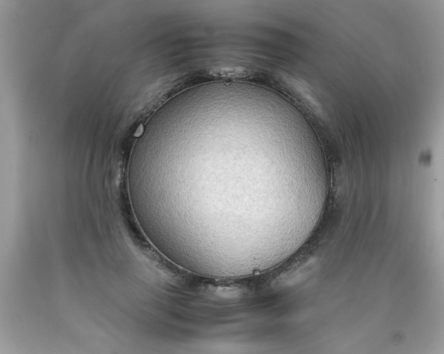 X0000090470645200707272259