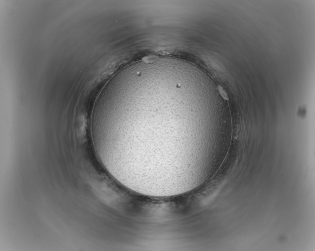 X0000090470646200707272259