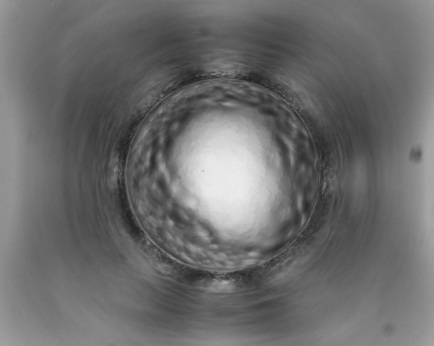 X0000090470647200707272259