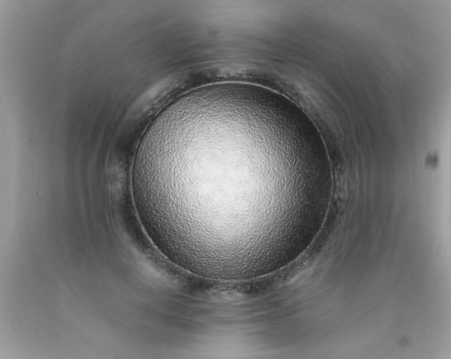 X0000090470648200707272259